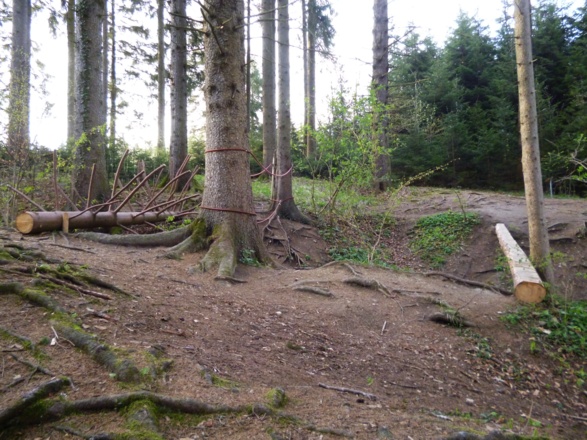 Beim Balancieren über den Baumstamm, das Seil oder den umgefallenen Baum ist ein gutes Gleichgewicht gefragt.
