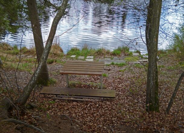 Am Nordufer des idyllisch gelegenen Pollinger Weihers befindet sich ein kleiner Rastplatz.