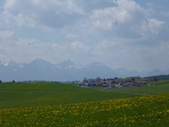 Südlich von Fronreiten bietet sich ein herrlicher Blick auf die Tannheimer und Allgäuer Alpen.