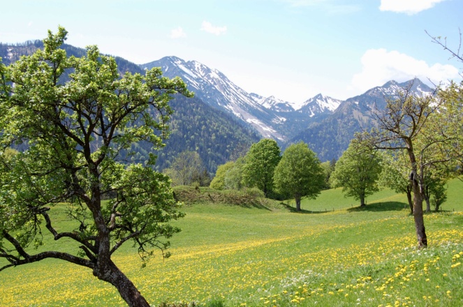 https://d1pgrp37iul3tg.cloudfront.net/objekt_pics/obj_full_28470_002.jpg