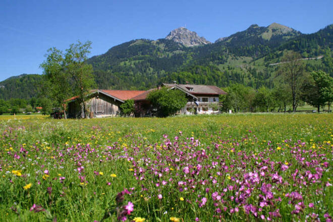 https://d1pgrp37iul3tg.cloudfront.net/objekt_pics/obj_full_28239_006.jpg