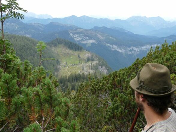 Blick vom Anstieg zurück zur Schwarzenbergalm