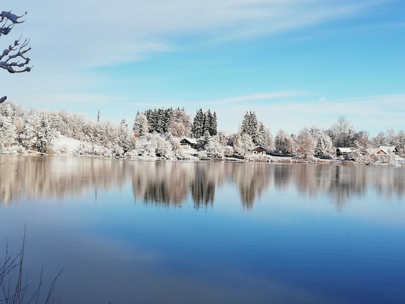 Winterstimmung Ringsee