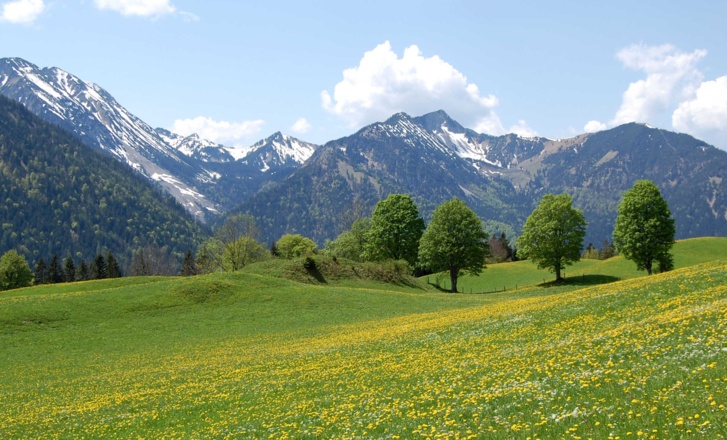 https://d1pgrp37iul3tg.cloudfront.net/objekt_pics/obj_full_28470_003.jpg