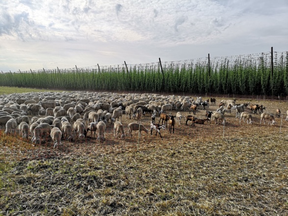 Pension Marcus (Bad Gögging)