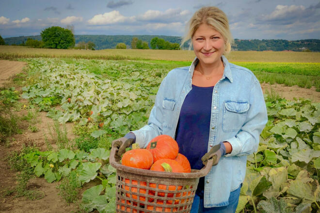 Kürbisernte auf dem Carlbauer-Hof