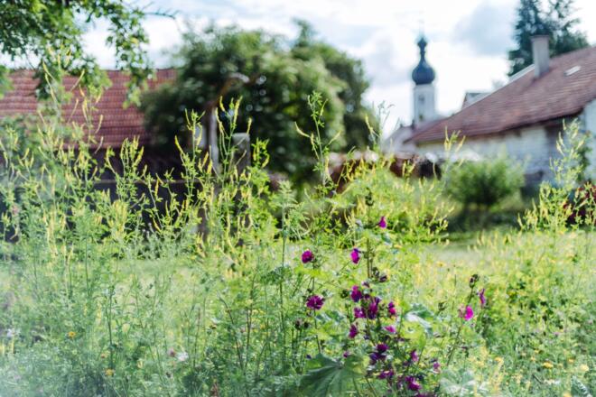 Garten 2