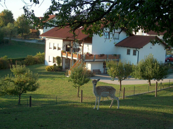Garten Ferienwohnung Leixenring