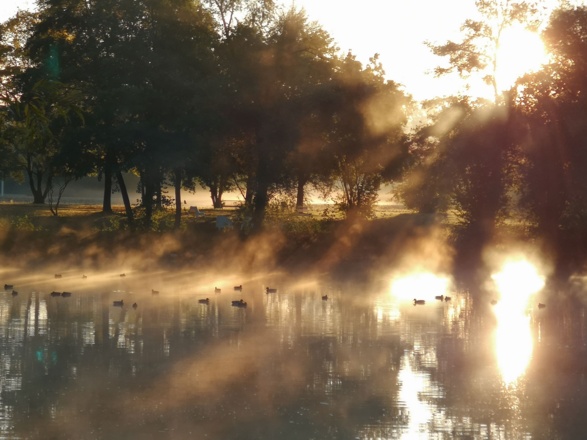 Pension Marcus (Bad Gögging)