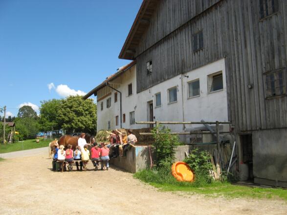 Fitness für Ross und Reiter im Fitness-Stall Badwerk