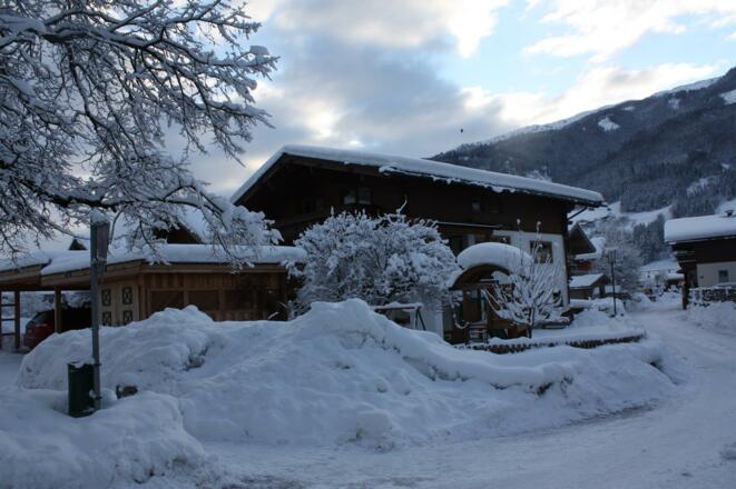Winter