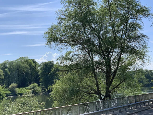 Apartment Donaublick (Bad Abbach)