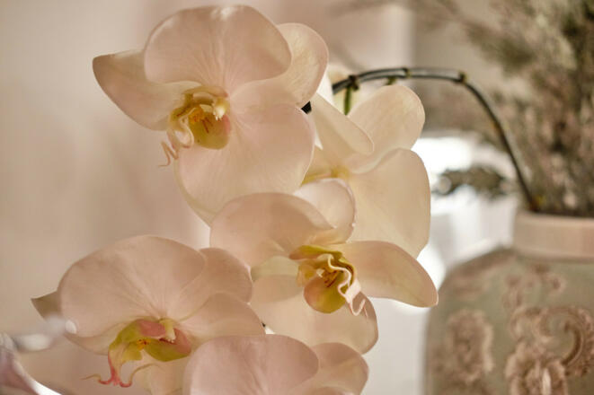 Boutique-Hotel am Ledererturm (Kelheim)