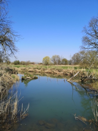 Pension Marcus (Bad Gögging)