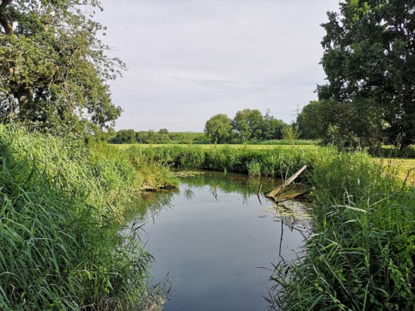 Pension Marcus (Bad Gögging)