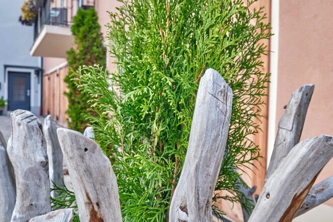 Boutique-Hotel am Ledererturm (Kelheim)