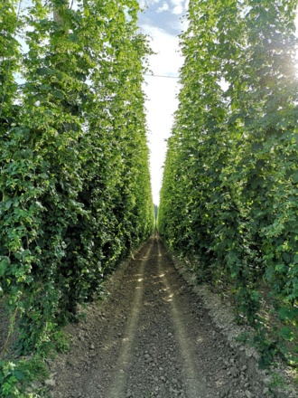 Pension Marcus (Bad Gögging)