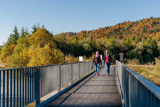 Wanderung um den Isarstausee im Herbst