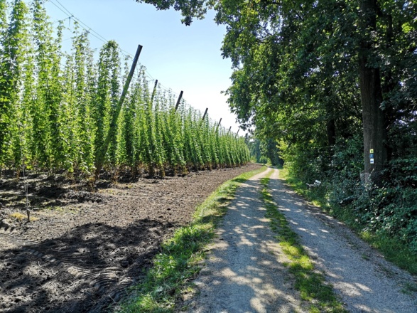 Pension Marcus (Bad Gögging)