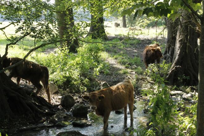 Haus Sabine (Bad Gögging)