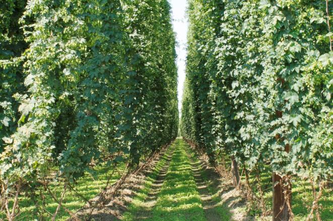 Haus Sabine (Bad Gögging)