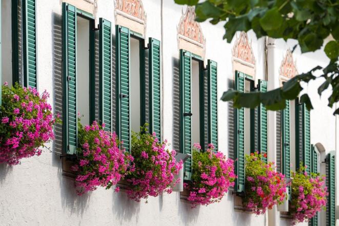 Auwirt_Blumen-fenster