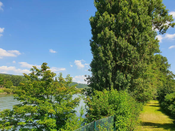 Ferienhaus am Donauspitz (Kelheim)