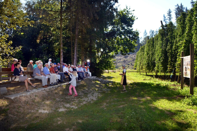 Hopfenerlebnisführung in Attenhofen in der Hallertau