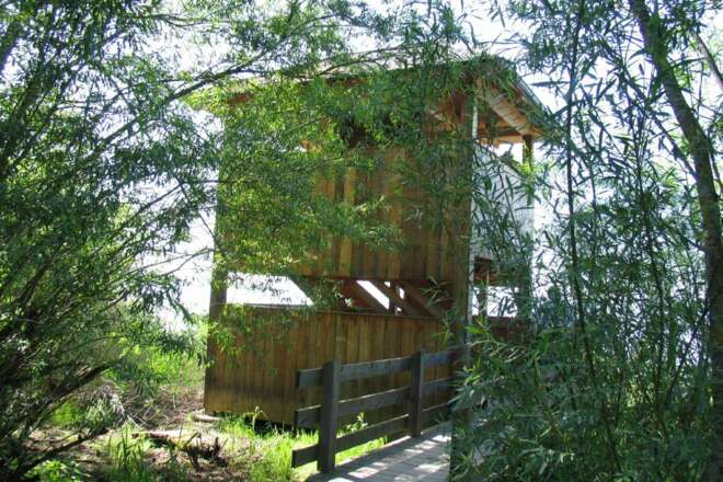 Naturbeobachtungsturm in der Hirschauer Bucht