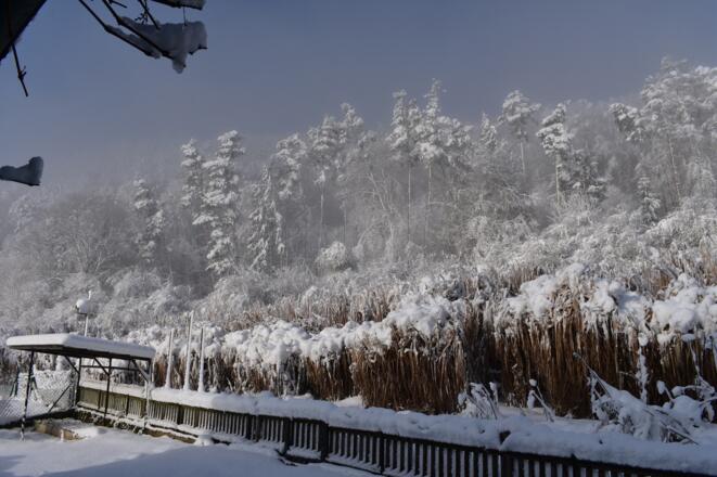 Winter im Altmühltal