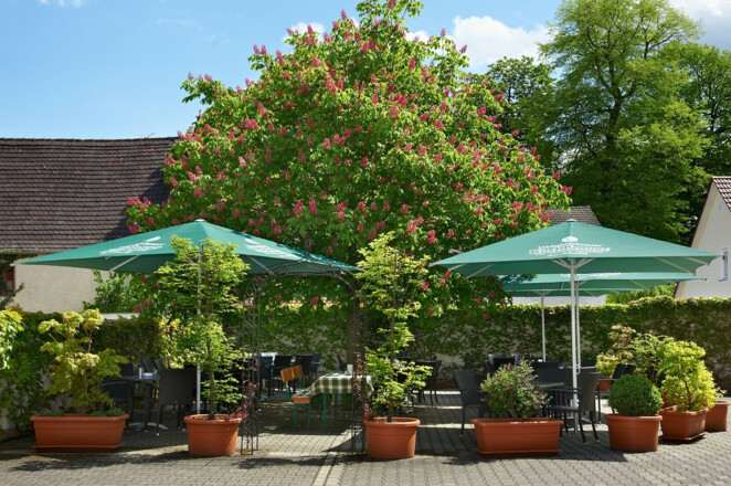 Biergarten
