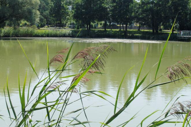 Haus Sabine (Bad Gögging)