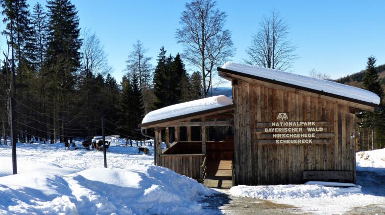 Hirschgehege Scheuereck