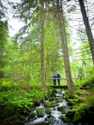 An der Fredenbrücke