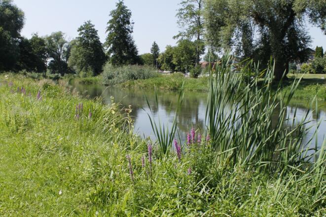 Haus Sabine (Bad Gögging)