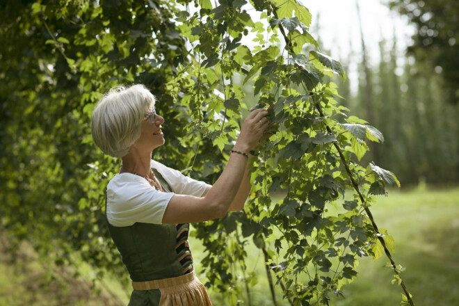 Hopfenbotschafterin Elisabeth Stiglmaier aus Attenhofen in der Hallertau