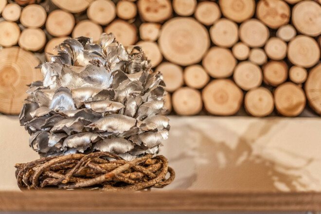 Ferienhaus am Mittertor (Kelheim)