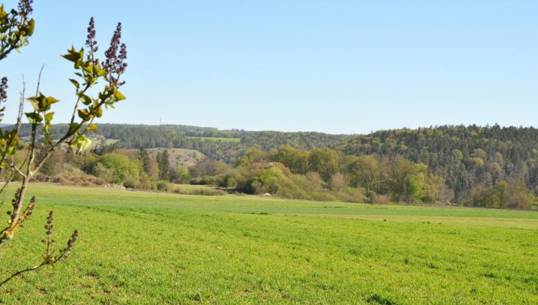 Ausblick Schlafzimmer