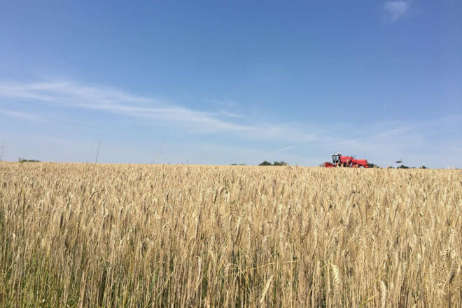 Getreideernte Biohof Amberger