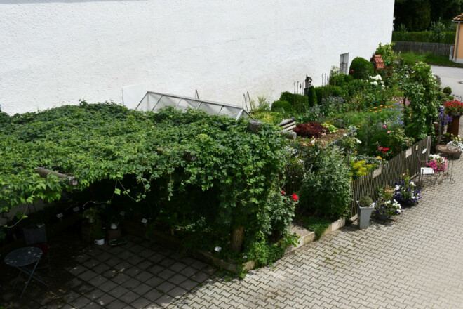 Blumengarten auf dem Hopfenhof Zellner in Attenhofen in der Hallertau
