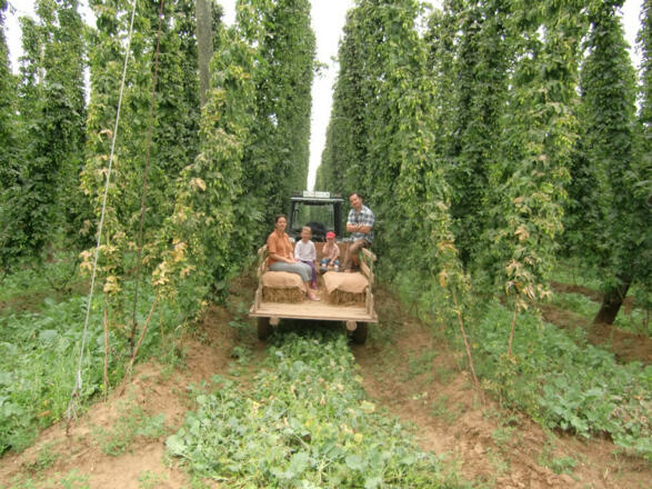 Traktorfahrt durch in Hopfengarten