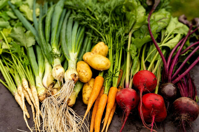 Wurzelgemüse vom Biohof Amberger