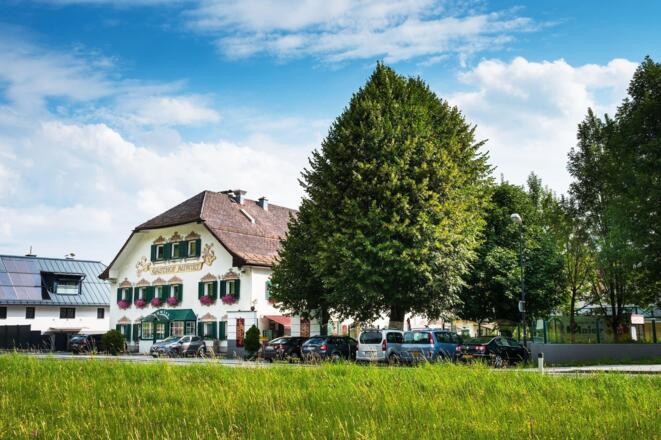 Auwirt-Hallein-Hotel-Apartment