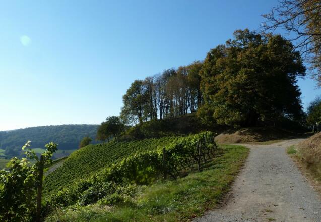 Hochplateau am Schlossberg