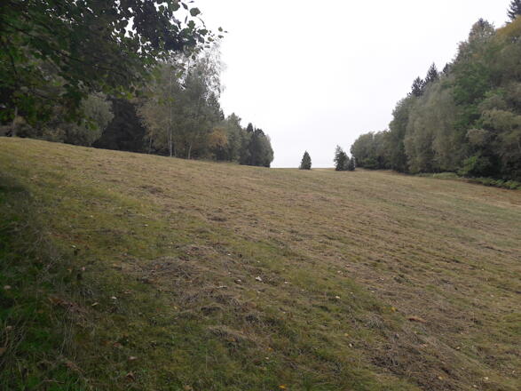 früher Skiabfahrt "Kolmberg"