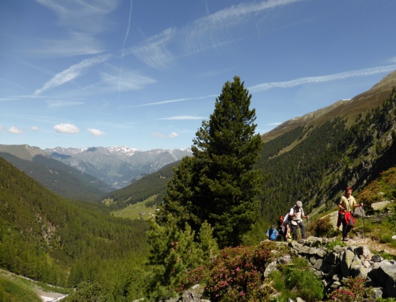 Auf dem Sommerweg zum Hohenzollernhaus