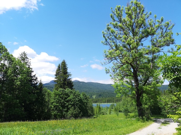 Weg von Barmsee zum Grubsee