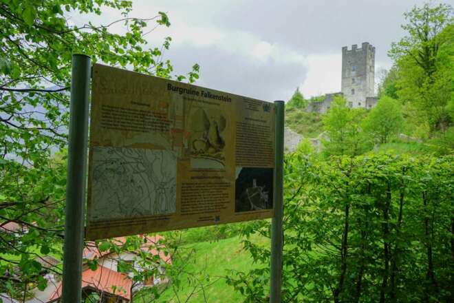 Infotafel zur Burgruine Falkenstein
