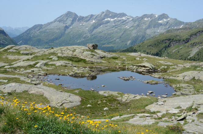 Nach dem Abzweig im Ursprungtal betritt man eine romantische Hochgebirgswelt.