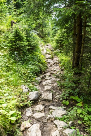 Jägersteig mit Wasserfall